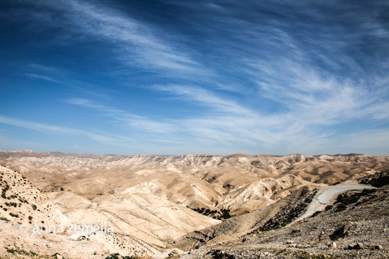 Palestina, 2014